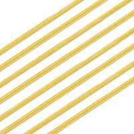 RAVARINO & FRESCHI Ravarino & Freschi Thin Spaghetti 10lbs, PK2 R74011Q0698